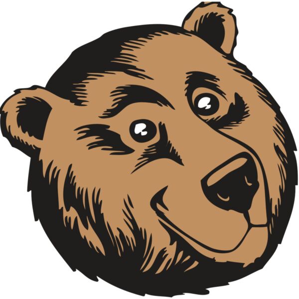 BAW BEAR 11 RC Thumbnail