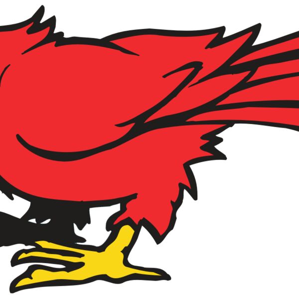 AR CARDINAL 11 RC Thumbnail