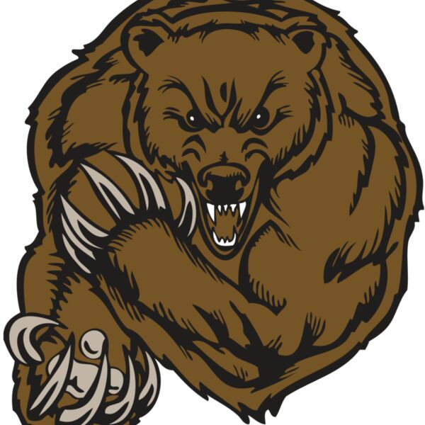 BAW BEAR 07 RC Thumbnail