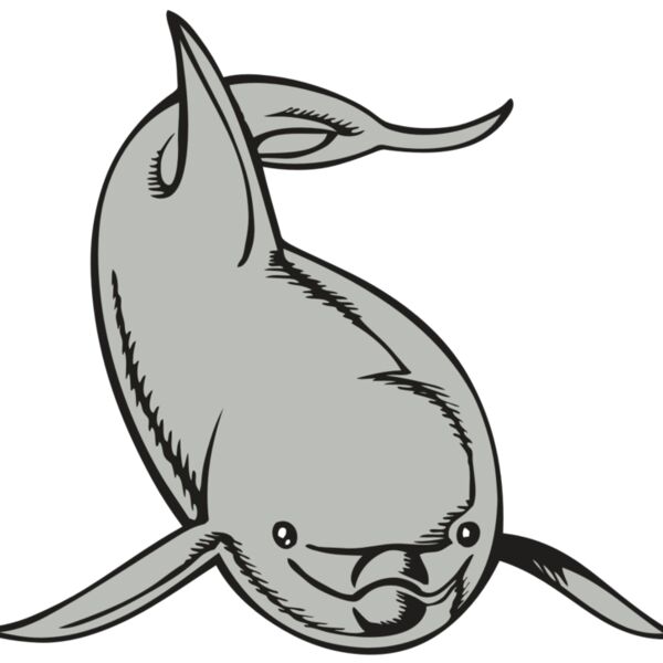 BAW DOLPHIN 02 RC Thumbnail