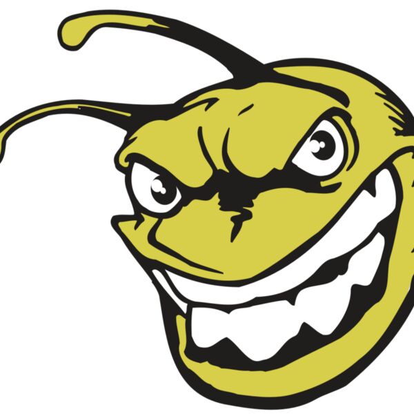 AR5 BEE 08 RQC Thumbnail