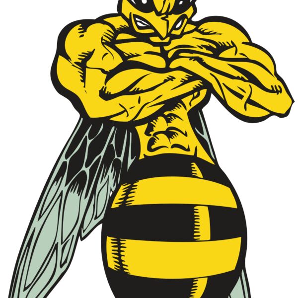 BAW BEE 16 RC Thumbnail