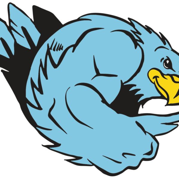 AR HAWK 24 RC Thumbnail