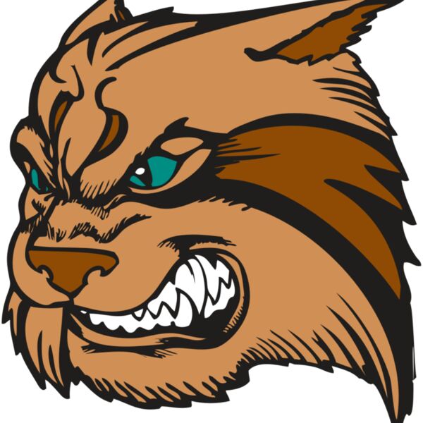 BAW WILDCAT 05 RC Thumbnail