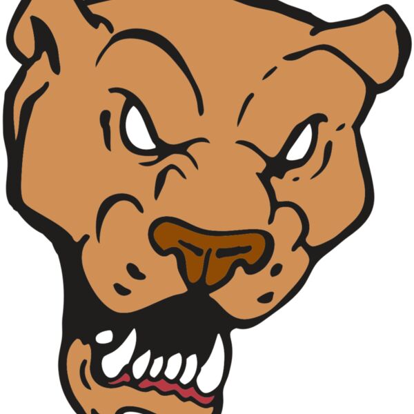 AR2 PANTHER 02 RQC Thumbnail