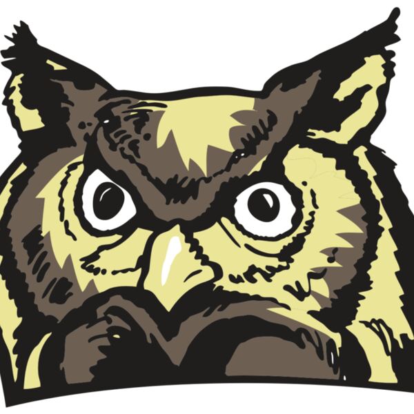 AR OWL 10 RC Thumbnail