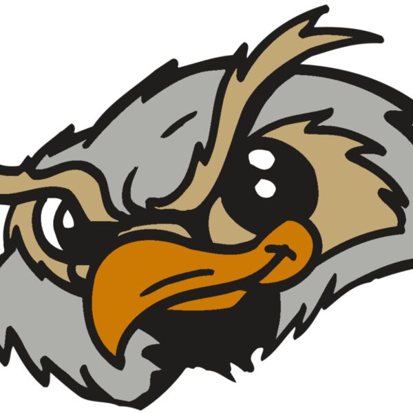 AR5 Owl 06 RQC Thumbnail