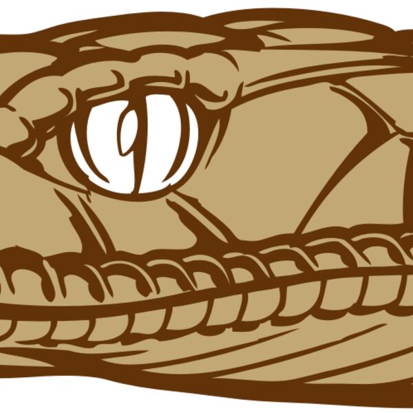 BAW SNAKE 12 RC Thumbnail