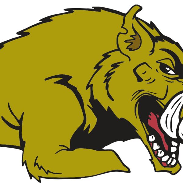 AR RAZORBACK 23 RC Thumbnail