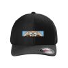 Rad Flexback Cap Thumbnail